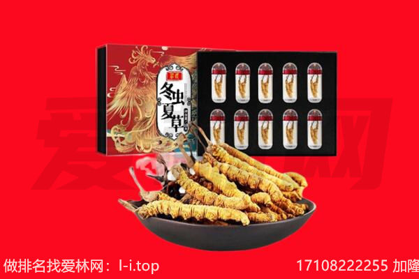 阿勒泰回收虫草.jpg